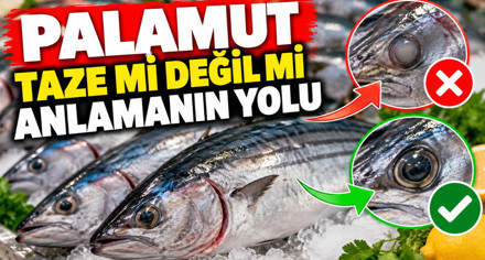 Palamutun taze olup olmadığını anlamanın yolu!