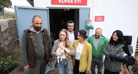 Ferdi Zeyrek Vakfı’ndan 4 bin 500 sahipsiz hayvan için “Patili Dostlar” dayanışması