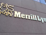 Merrill Lynch'ten fon iddialarına yanıt: Türk müşterimiz yok, kâr milyonlar seviyesinde