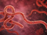 Kenya’da Ebola kaynaklı ikinci ölüm: 7 kişi karantinada