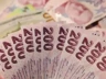 Alman devinden çarpıcı Türk Lirası analizi